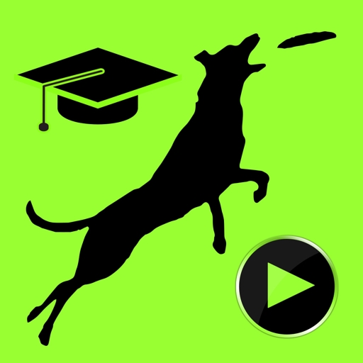 Online Live Training